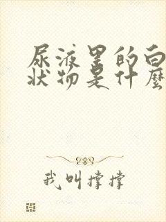 尿液里的白色絮状物是什么