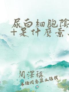 尿白细胞阴性2+是什么意思