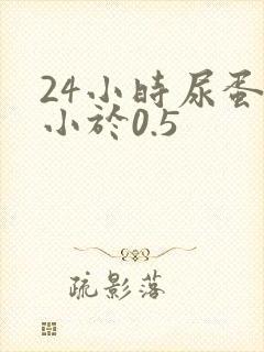 24小时尿蛋白小于0.5