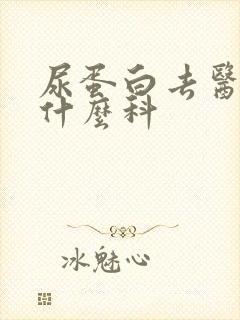 尿蛋白去医院挂什么科