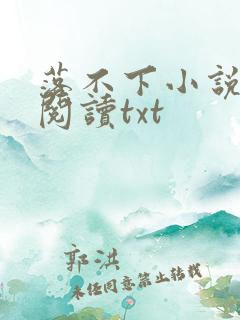 落不下小说免费阅读txt