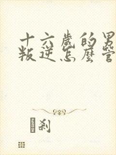 十六岁的男孩子叛逆怎么管教