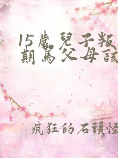 15岁儿子叛逆期骂父母该怎么办