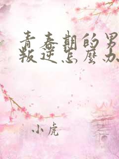 青春期的男孩子叛逆怎么办