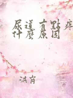 尿道有点疼痛是什么原因