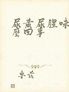 尿黄尿腥味是怎么回事