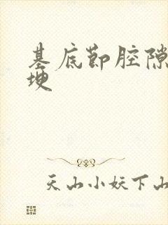 基底节腔隙性脑埂