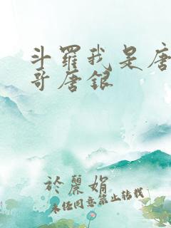 斗罗我是唐三他哥唐银