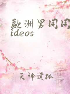 欧洲男同同性videos