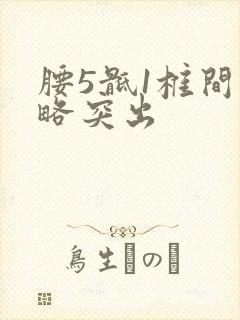 腰5骶1椎间盘略突出