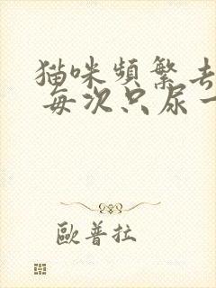 猫咪频繁去厕所 每次只尿一点,或者没有