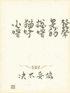 小猫总是发出呼噜呼噜的声音是怎么回事