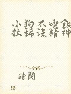 小狗不吃饭呕吐拉稀没精神怎么办