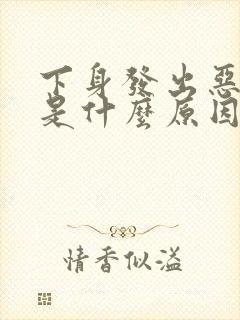 下身发出恶臭味是什么原因