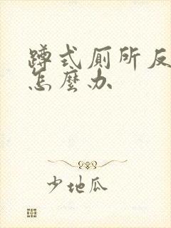 蹲式厕所反臭味怎么办