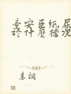 童安臣纸尿裤属于什么档次