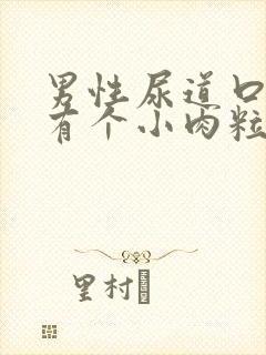 男性尿道口旁边有个小肉粒