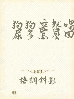 狗狗突然喝水多尿多怎么回事