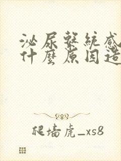 泌尿系统感染是什么原因造成的