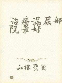 治疗漏尿哪个医院最好