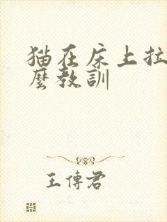 猫在床上拉尿怎么教训