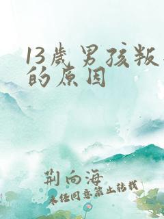 13岁男孩叛逆的原因