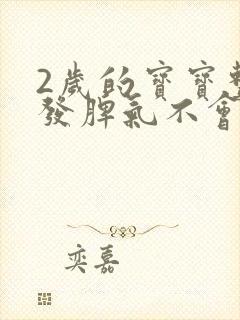 2岁的宝宝整天发脾气不会说话