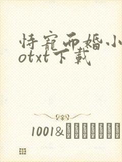 恃宠而婚小说今otxt下载