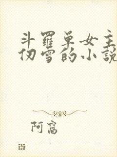 斗罗单女主是千仞雪的小说