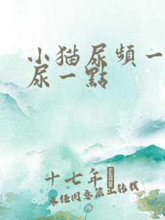 小猫尿频一次只尿一点