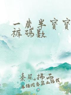 一岁半宝宝纸尿裤码数