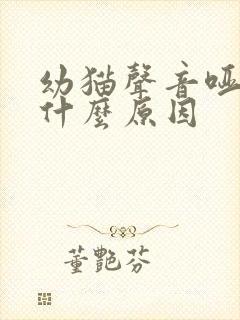 幼猫声音哑了是什么原因