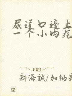 尿道口边上长了一个小肉疙瘩