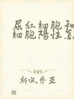 尿红细胞和尿白细胞阳性怎么回事