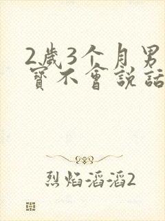 2岁3个月男宝宝不会说话怎么办