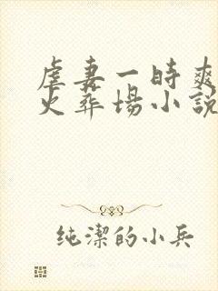 虐妻一时爽追妻火葬场小说