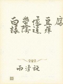 白带像豆腐渣一样阴道痒