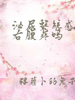 泌尿系统感染会右腹疼吗