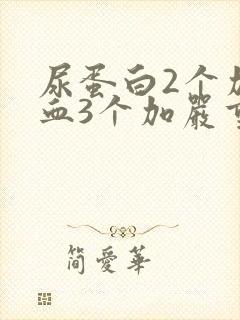 尿蛋白2个加潜血3个加严重吗