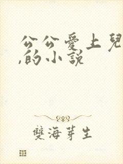 公公爱上儿媳妇,的小说