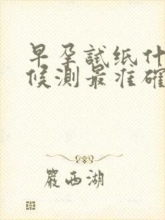 早孕试纸什么时候测最准确晚上尿液