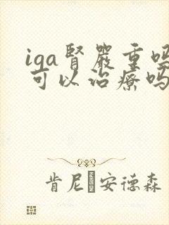 iga肾严重吗可以治疗吗