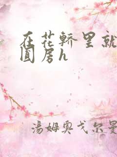 在花轿里就开始圆房h