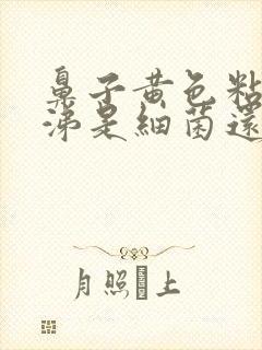 鼻子黄色粘稠鼻涕是细菌还是病毒