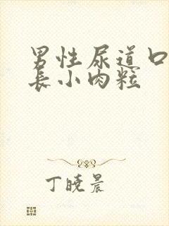 男性尿道口内侧长小肉粒