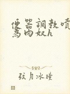 便器调教喷水沦为肉奴h