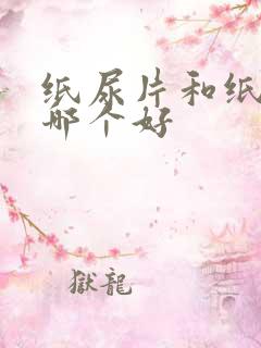 纸尿片和纸尿裤哪个好