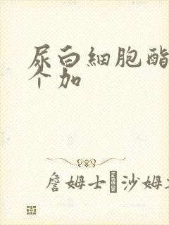 尿白细胞酯酶一个加