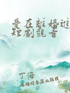 爱在离婚进行时短剧观看