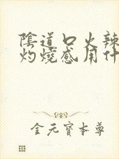 阴道口火辣辣的灼烧感用什么药